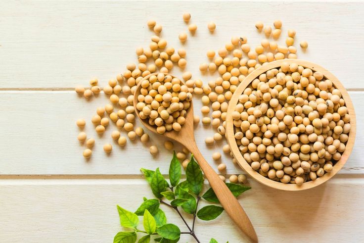 Non-GMO Wholesale Iranian Soybeans for UNICEF/UNHCR Humanitarian Feeding Initiatives; Emergency Logistics & Long Term Partnership